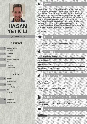 Havacılık Ve Uzay Uçak Mühendisi Cv Örnekleri cv indir